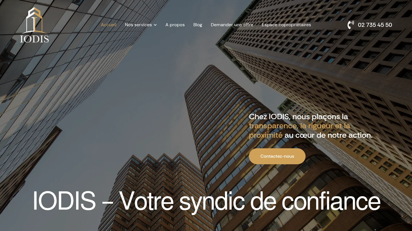 Capture de la page d’accueil de IODIS
